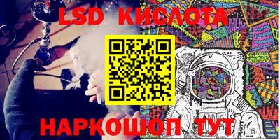 индика Гатчина