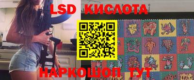 индика Гатчина
