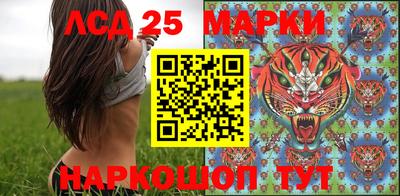индика Гатчина