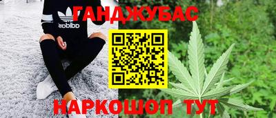 индика Гатчина