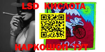 индика Гатчина