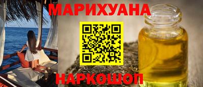 индика Гатчина